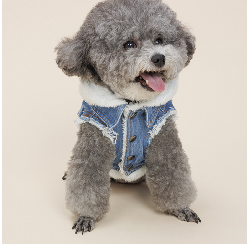 Load image into Gallery viewer, Justin - Denim Dog Jacket
