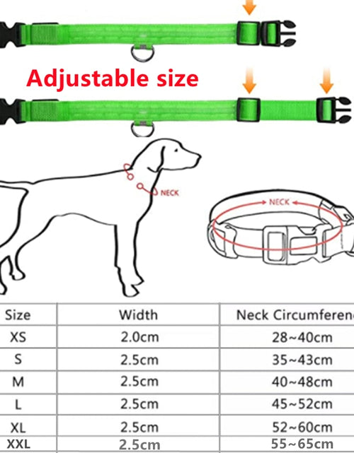 Load image into Gallery viewer, Luminous Dog Collar
