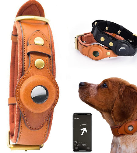 Leather Anti-Lost Dog Collar