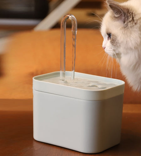 Cat Water Fountain Dispenser