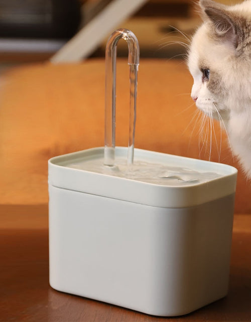 Load image into Gallery viewer, Cat Water Fountain Dispenser
