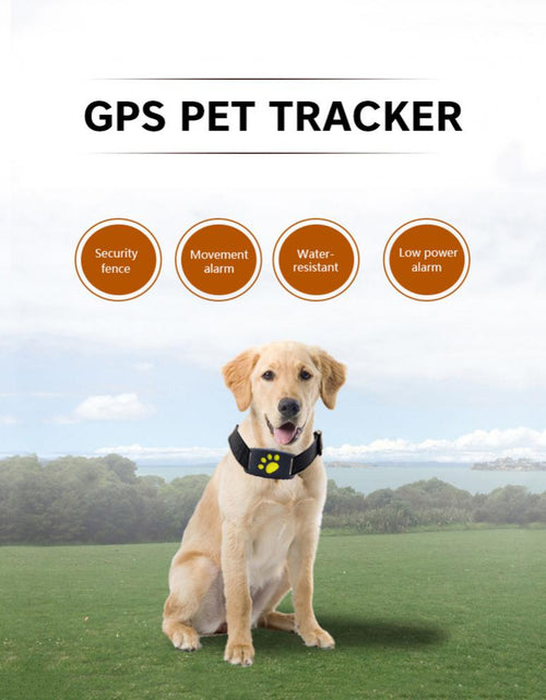 Load image into Gallery viewer, Pet GPS Tracker Collar
