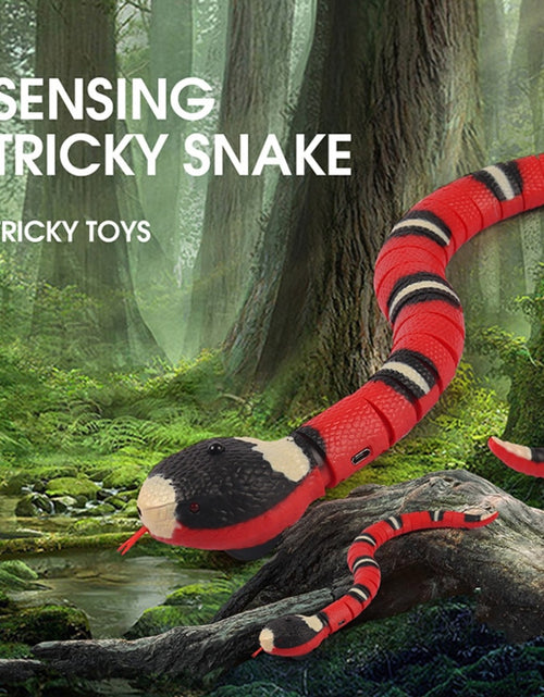 Load image into Gallery viewer, Smart Sensing Snake Tease Toy
