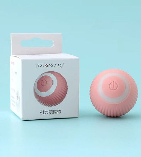 Rechargeable Interactive Smart Toys