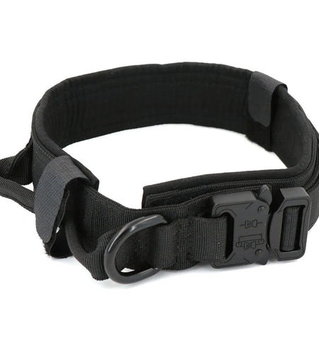 Dog Collar