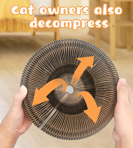 Cat Scratch Board With Bell