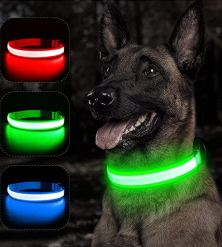 Luminous Dog Collar