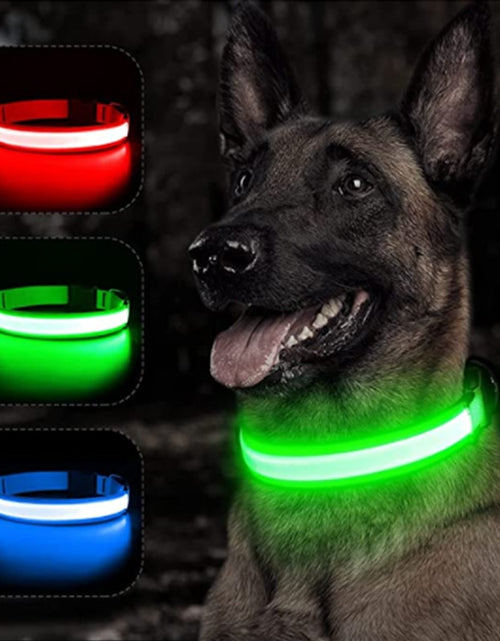 Load image into Gallery viewer, Luminous Dog Collar
