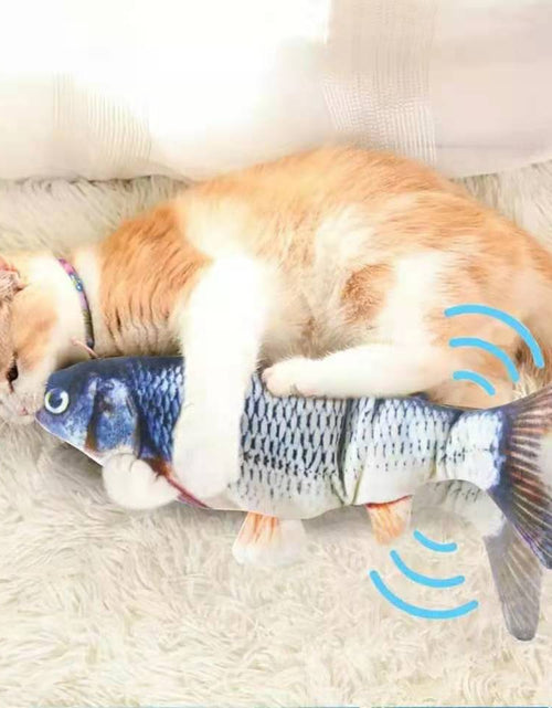 Load image into Gallery viewer, Cats USB Charger Interactive Toy Fish
