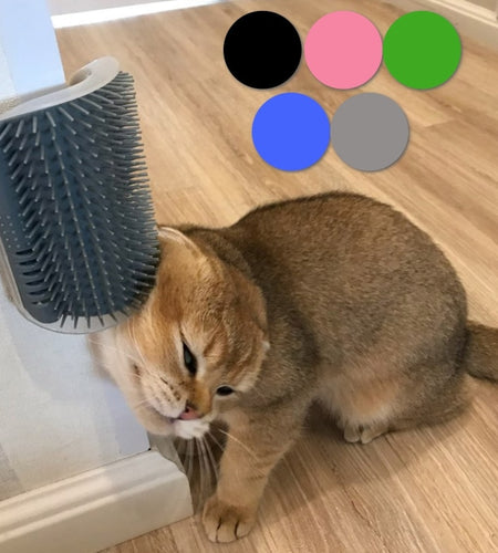 Pet Wall Corner Self Comb