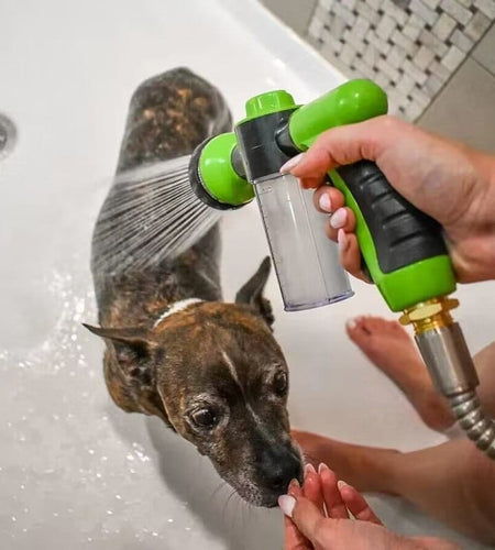 Dog Spa Jet