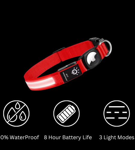 Luminous AirTag Collar