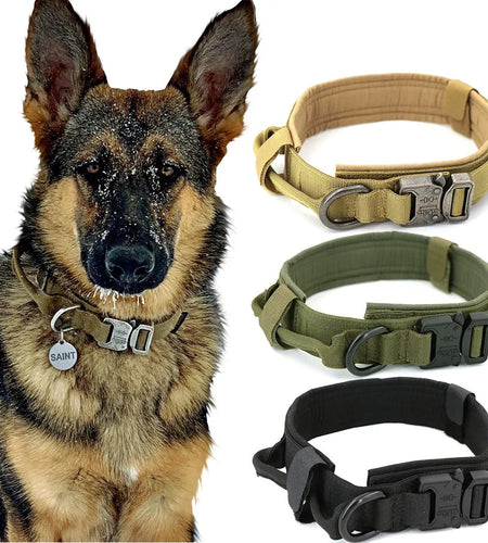 Dog Collar