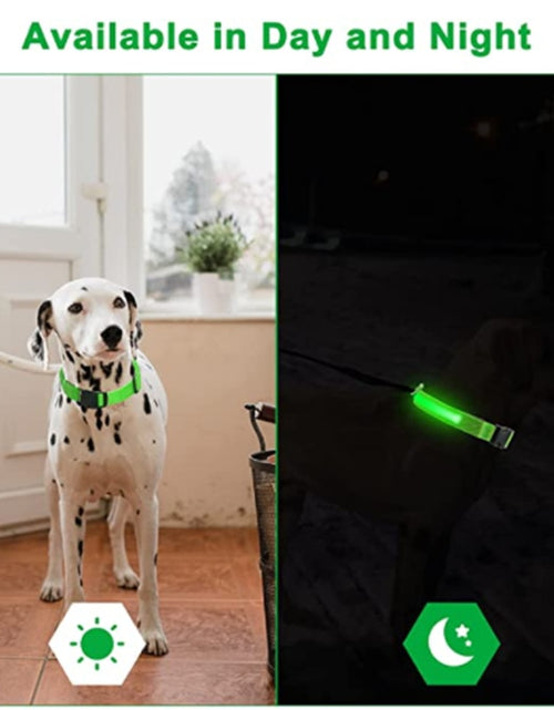 Load image into Gallery viewer, Luminous Dog Collar
