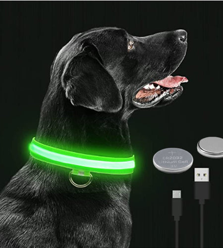 Luminous Dog Collar
