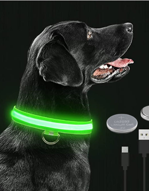 Load image into Gallery viewer, Luminous Dog Collar
