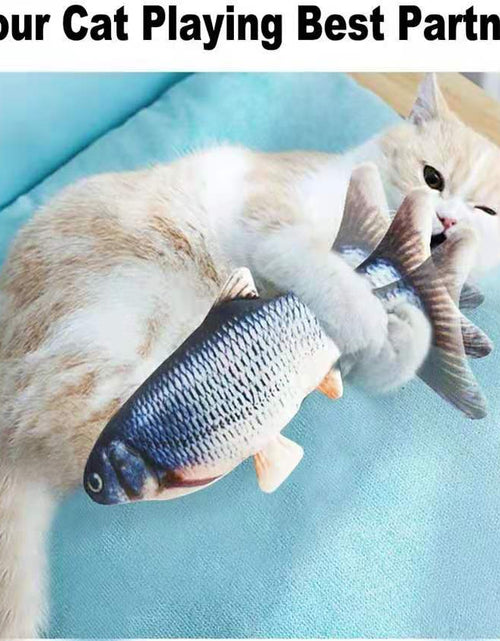 Load image into Gallery viewer, Cats USB Charger Interactive Toy Fish
