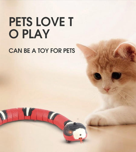 Smart Sensing Snake Tease Toy